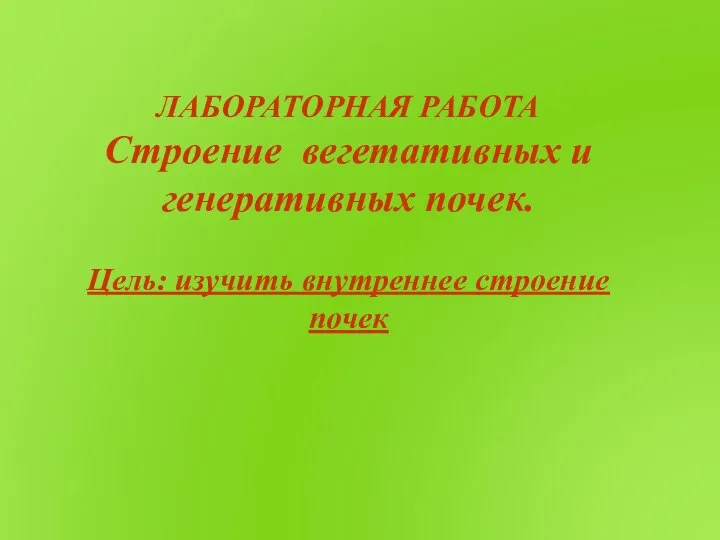 ЛАБОРАТОРНАЯ РАБОТА Строение вегетативных и генеративных почек. Цель: изучить внутреннее строение почек