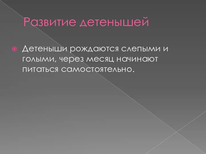 Развитие детенышей Детеныши рождаются слепыми и голыми, через месяц начинают питаться самостоятельно.