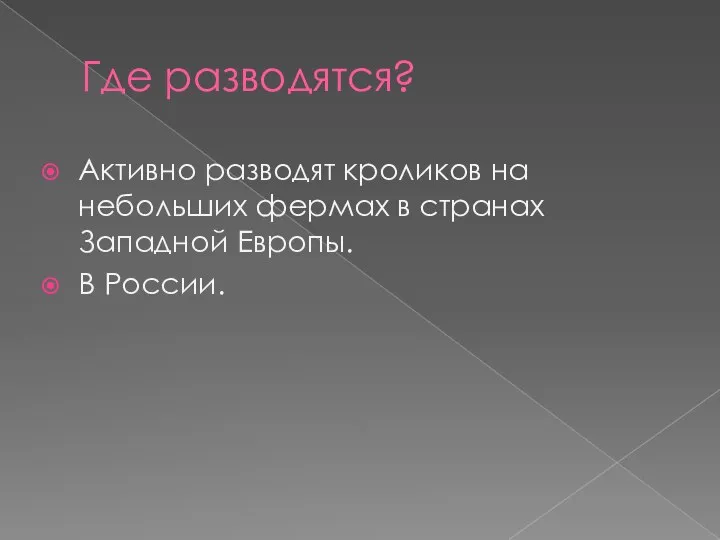 Где разводятся? Активно разводят кроликов на небольших фермах в странах Западной Европы. В России.