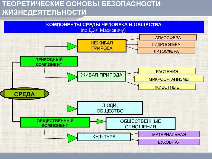 ТЕОРЕТИЧЕСКИЕ ОСНОВЫ БЕЗОПАСНОСТИ ЖИЗНЕДЕЯТЕЛЬНОСТИ