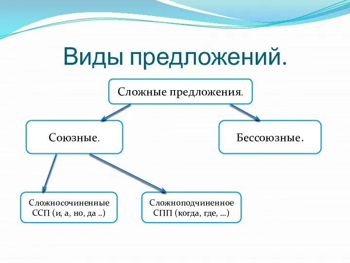 Виды предложений. Сложные предложения. Союзные. Бессоюзные. Сложносочиненные ССП (и, а, но,