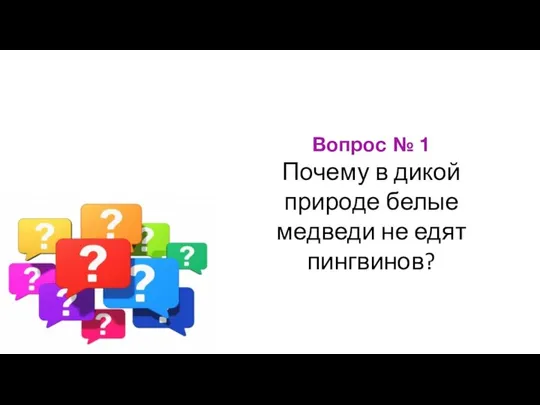 Вопрос № 1 Почему в дикой природе белые медведи не едят пингвинов?