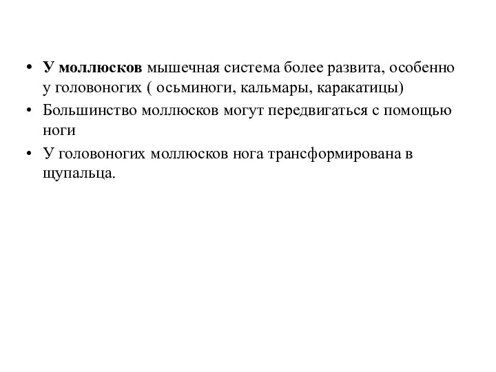 У моллюсков мышечная система более развита, особенно у головоногих ( осьминоги,