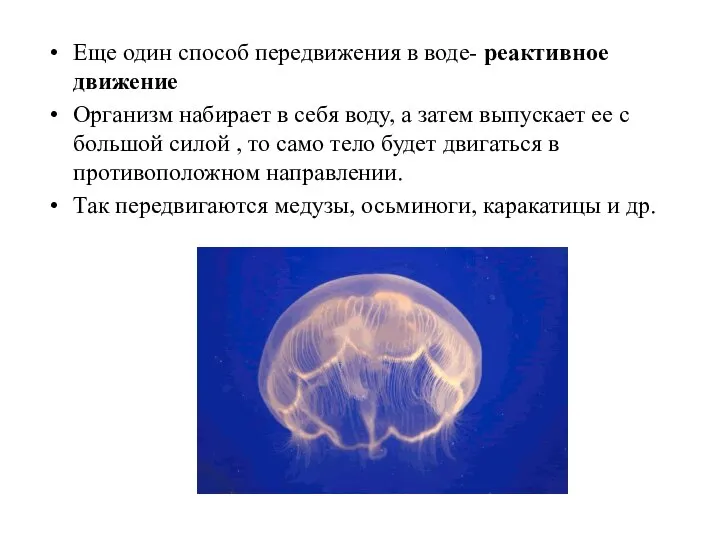 Еще один способ передвижения в воде- реактивное движение Организм набирает в