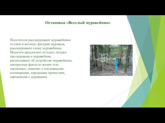 Остановка «Веселый муравейник» Посетители рассматривают муравейники из хвои и веточек, фигурки