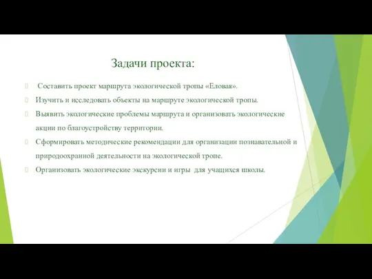 Задачи проекта: Составить проект маршрута экологической тропы «Еловая». Изучить и исследовать