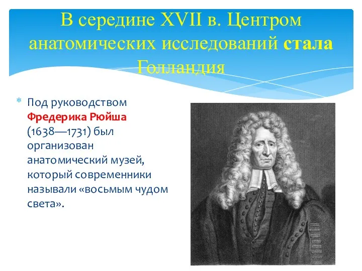 В середине XVII в. Центром анатомических исследований стала Голландия Под руководством