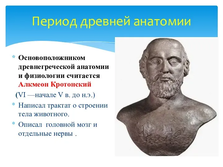 Период древней анатомии Основоположником древнегреческой анатомии и физиологии считается Алкмеон Кротонский