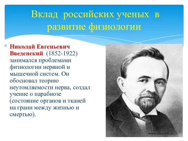 Вклад российских ученых в развитие физиологии Николай Евгеньевич Введенский (1852-1922) занимался