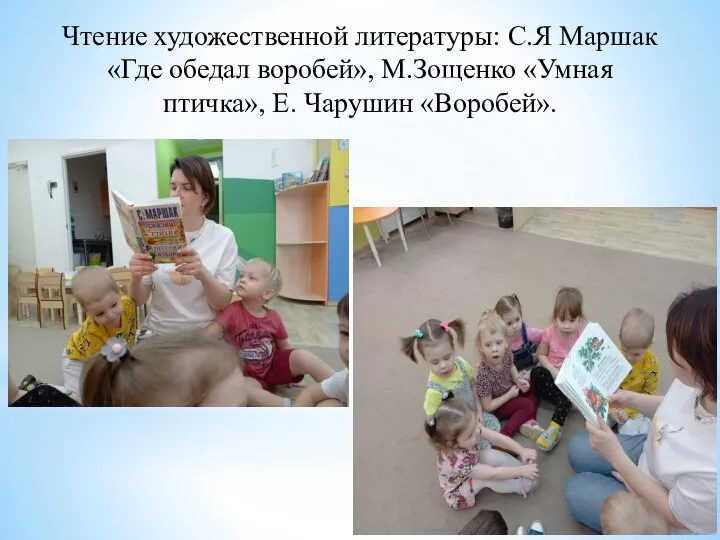 Чтение художественной литературы: С.Я Маршак «Где обедал воробей», М.Зощенко «Умная птичка», Е. Чарушин «Воробей».