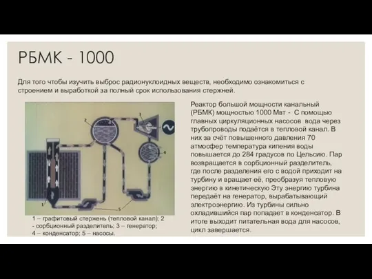 РБМК - 1000 Для того чтобы изучить выброс радионуклоидных веществ, необходимо