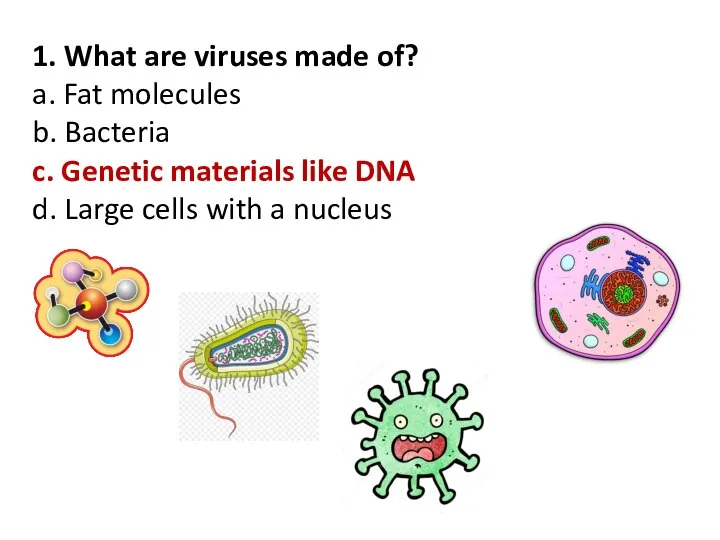 1. What are viruses made of? a. Fat molecules b. Bacteria