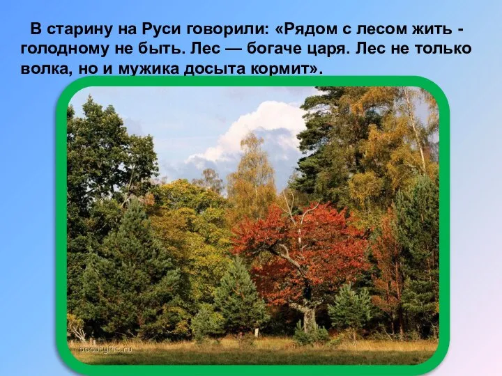 В старину на Руси говорили: «Рядом с лесом жить - голодному
