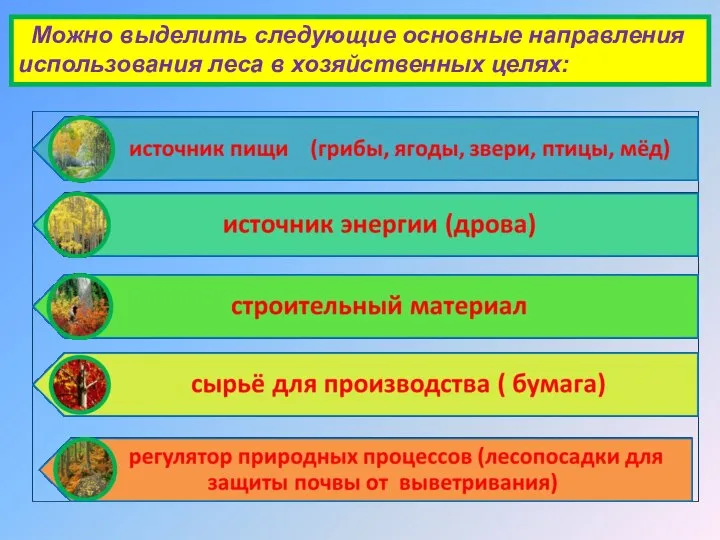 Можно выделить следующие основные направления использования леса в хозяйственных целях: