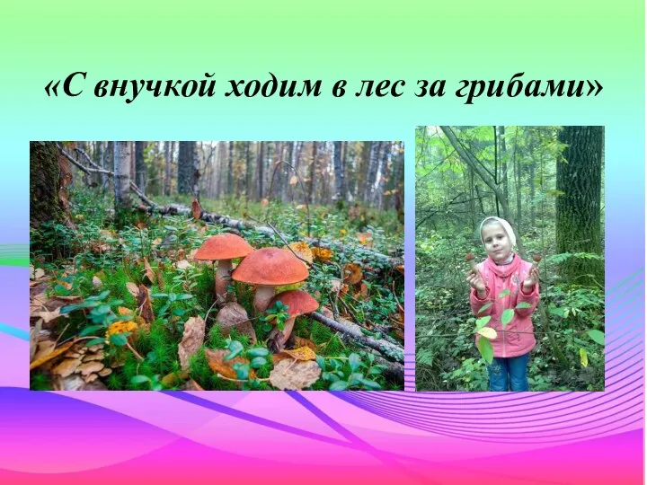 «С внучкой ходим в лес за грибами»