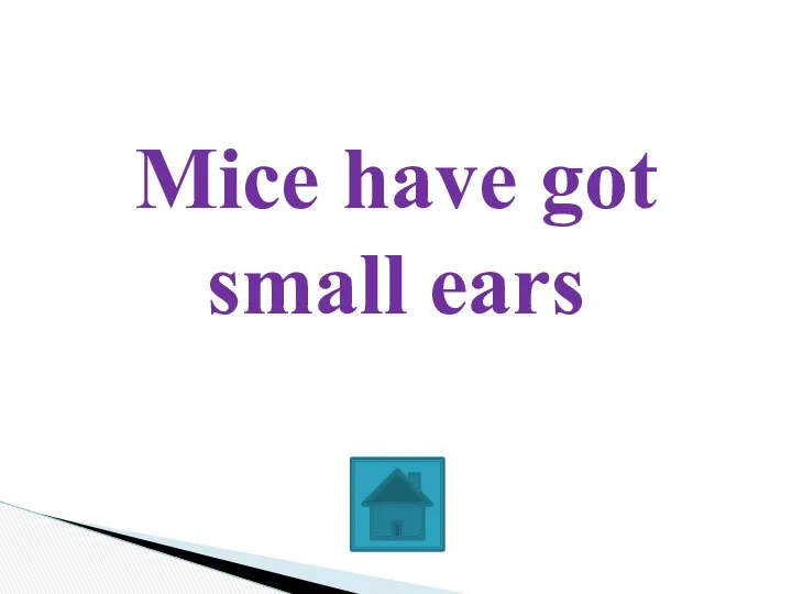 Mice have got small ears