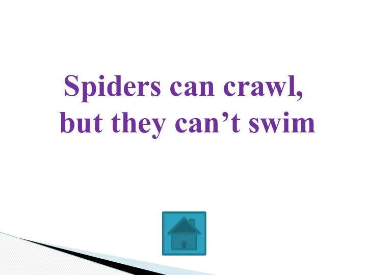 Spiders can crawl, but they can’t swim