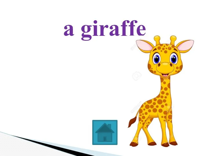 a giraffe