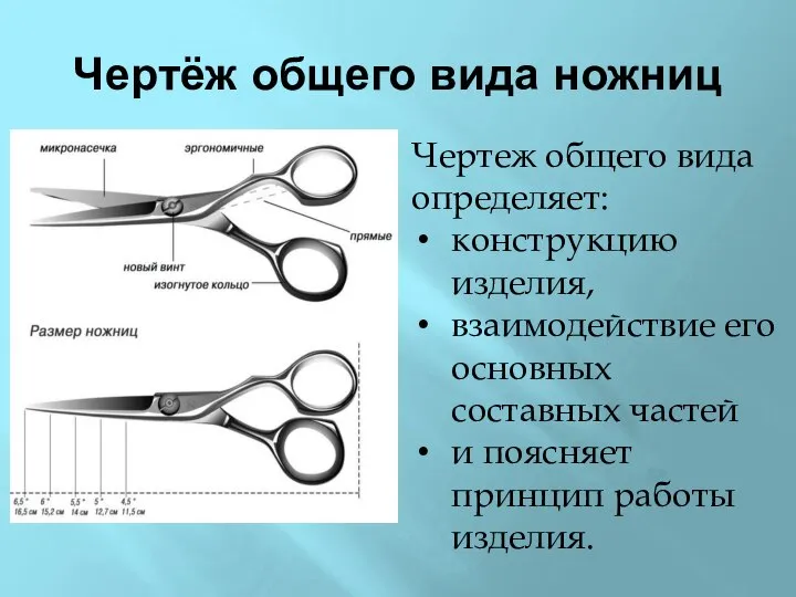 Чертёж общего вида ножниц Чертеж общего вида определяет: конструкцию изделия, взаимодействие