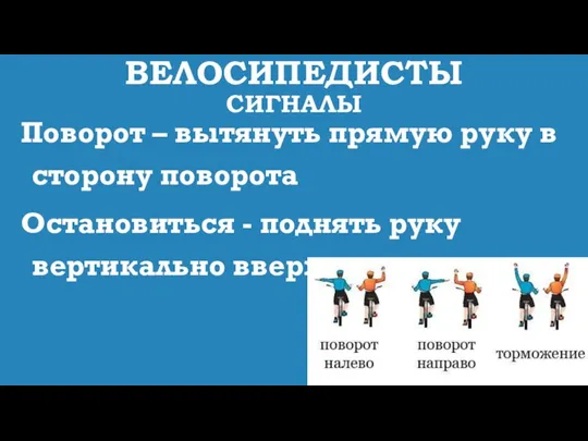 ВЕЛОСИПЕДИСТЫ СИГНАЛЫ Поворот – вытянуть прямую руку в сторону поворота Остановиться - поднять руку вертикально вверх.