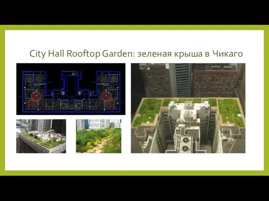 City Hall Rooftop Garden: зеленая крыша в Чикаго