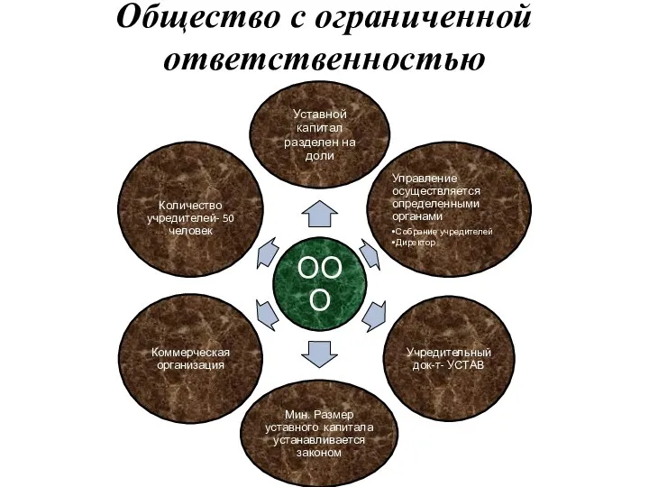 Общество с ограниченной ответственностью