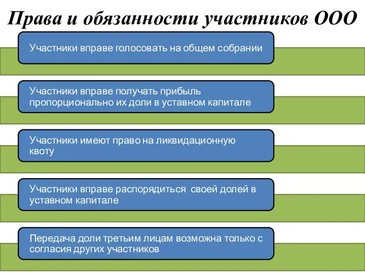 Права и обязанности участников ООО