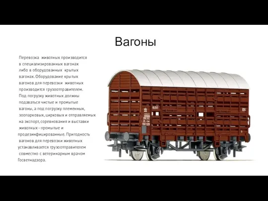 Вагоны Перевозка животных производится в специализированных вагонах либо в оборудованных крытых