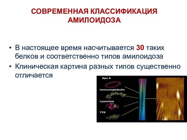 Основана на типировании белка предшественника В настоящее время насчитывается 30 таких