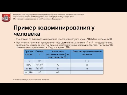 Пример кодоминирования у человека У человека по типу кодоминирования наследуется группа