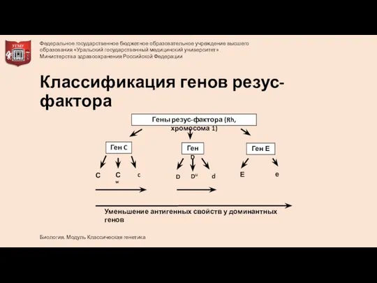 Классификация генов резус-фактора