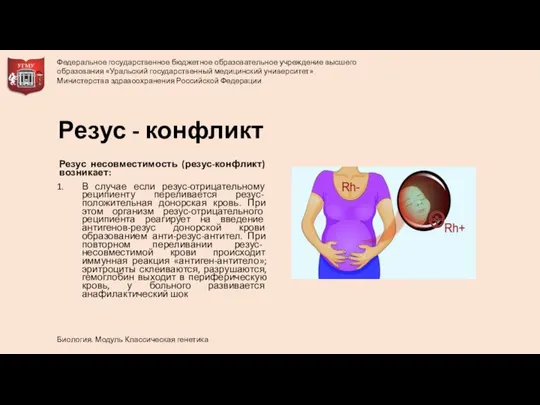 Резус - конфликт Резус несовместимость (резус-конфликт) возникает: В случае если резус-отрицательному