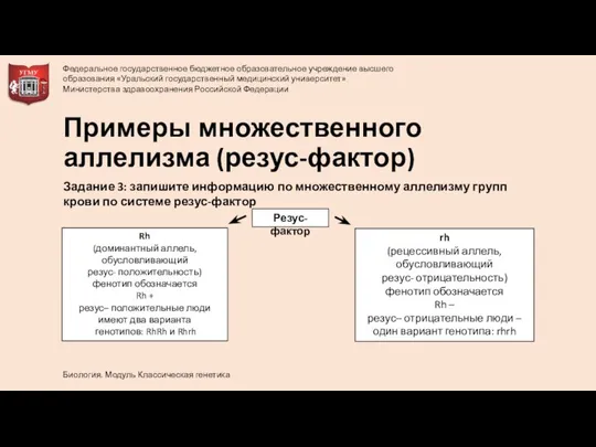 Примеры множественного аллелизма (резус-фактор) Резус- фактор Rh (доминантный аллель, обусловливающий резус-