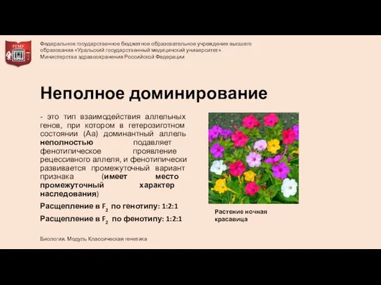 - это тип взаимодействия аллельных генов, при котором в гетерозиготном состоянии