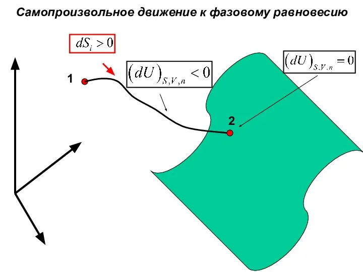 Самопроизвольное движение к фазовому равновесию 1 2