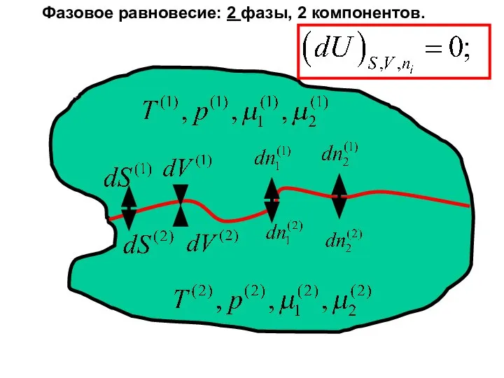 Фазовое равновесие: 2 фазы, 2 компонентов.