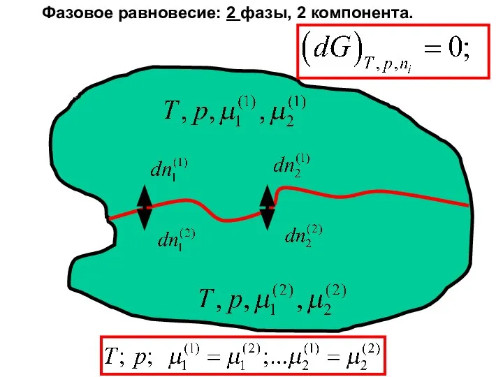 Фазовое равновесие: 2 фазы, 2 компонентa.