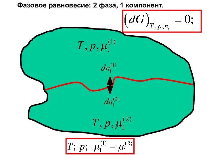 Фазовое равновесие: 2 фаза, 1 компонент.