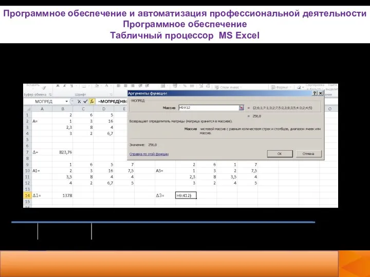 А3: Программное обеспечение и автоматизация профессиональной деятельности Программное обеспечение Табличный процессор MS Excel