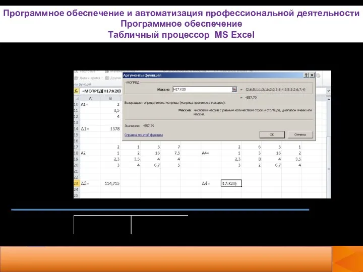 А4: Программное обеспечение и автоматизация профессиональной деятельности Программное обеспечение Табличный процессор MS Excel