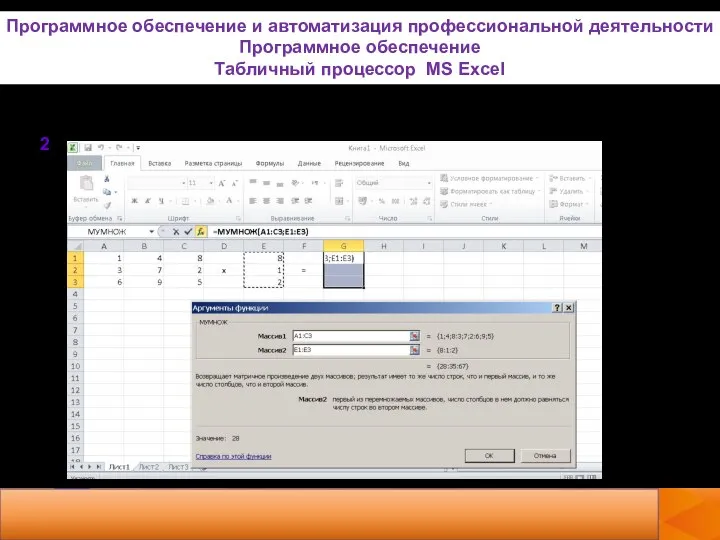 2. Программное обеспечение и автоматизация профессиональной деятельности Программное обеспечение Табличный процессор MS Excel