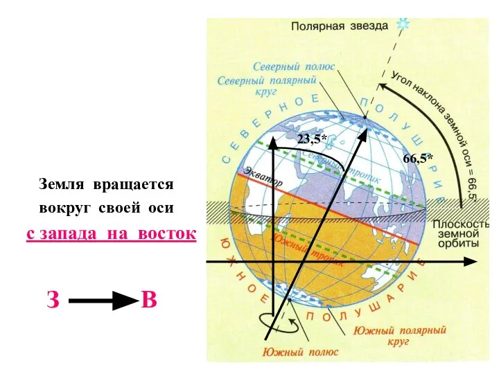 Земля вращается вокруг своей оси с запада на восток З В 23,5* 66,5*