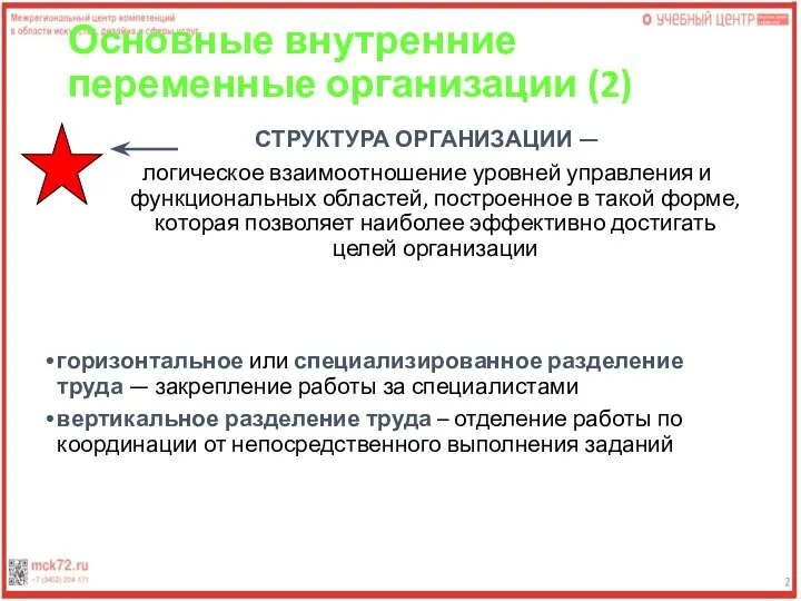 Основные внутренние переменные организации (2) СТРУКТУРА ОРГАНИЗАЦИИ — логическое взаимоотношение уровней