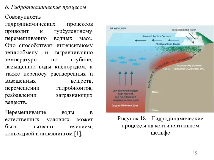 6. Гидродинамические процессы Совокупность гидродинамических процессов приводит к турбулентному перемешиванию водных