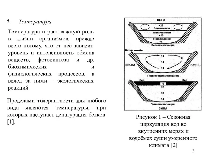 Температура Температура играет важную роль в жизни организмов, прежде всего потому,