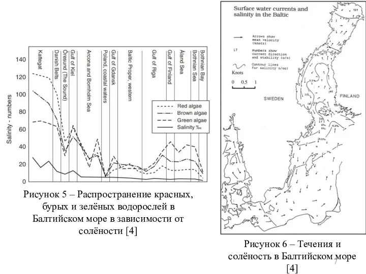 Рисунок 5 – Распространение красных, бурых и зелёных водорослей в Балтийском