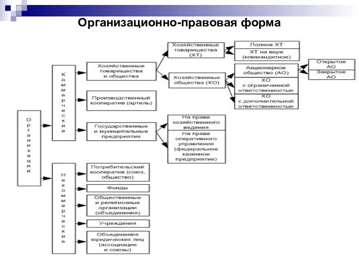 Организационно-правовая форма