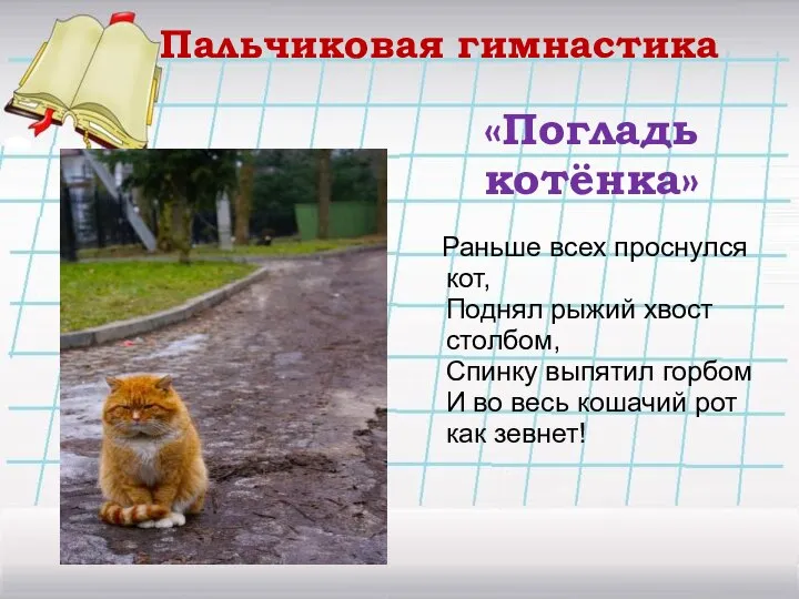 «Погладь котёнка» Раньше всех проснулся кот, Поднял рыжий хвост столбом, Спинку