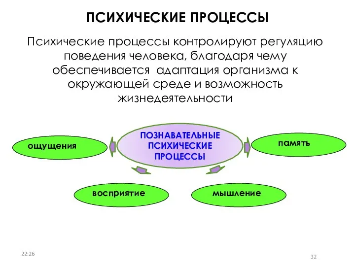 Психические процессы контролируют регуляцию поведения человека, благодаря чему обеспечивается адаптация организма