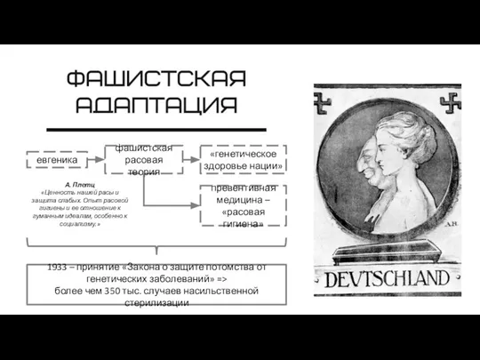 евгеника фашистская расовая теория «генетическое здоровье нации» превентивная медицина – «расовая